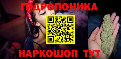 гидропоника Лесосибирск